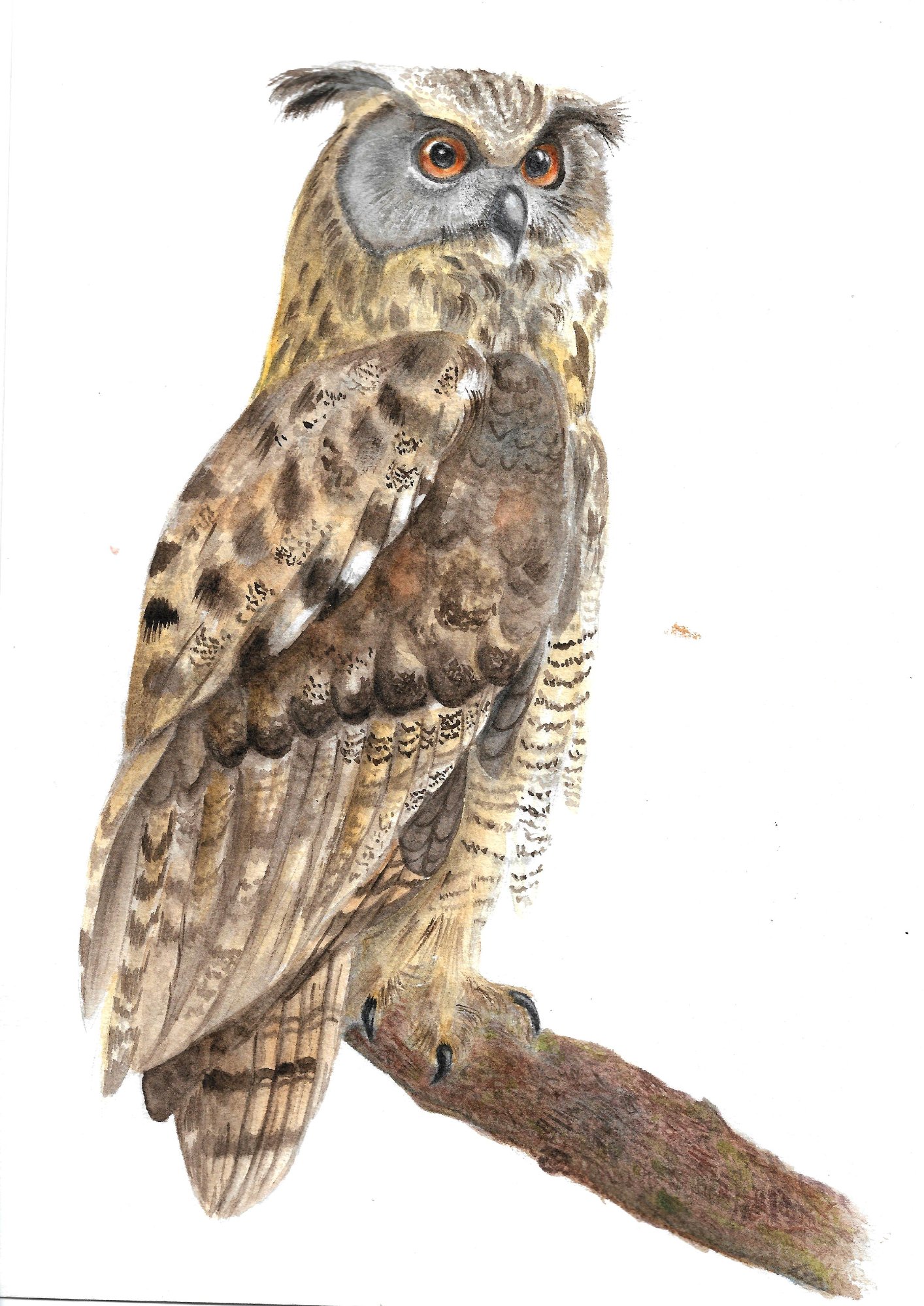 Екатерина Васильева